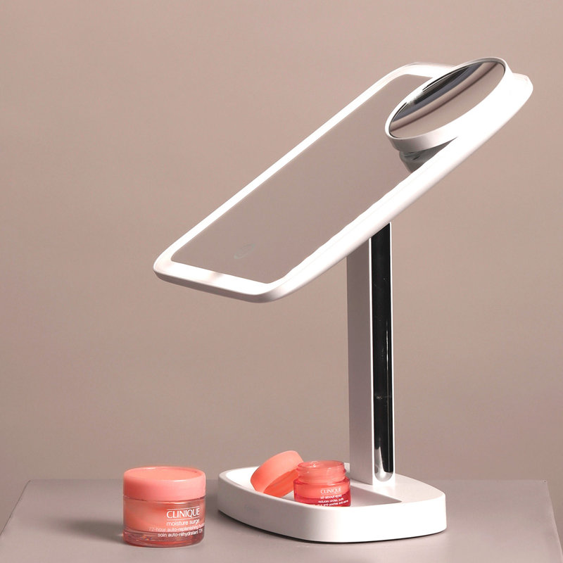 Fancii Modern Lighted Magnifying Makeup Mirror & Reviews Wayfair